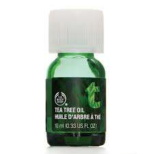Body Shop