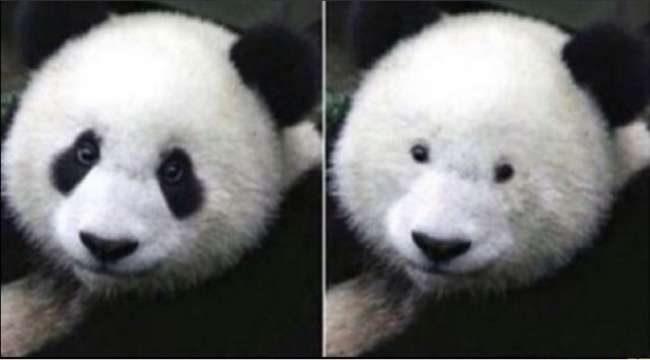 Derita Orang Berkacamata