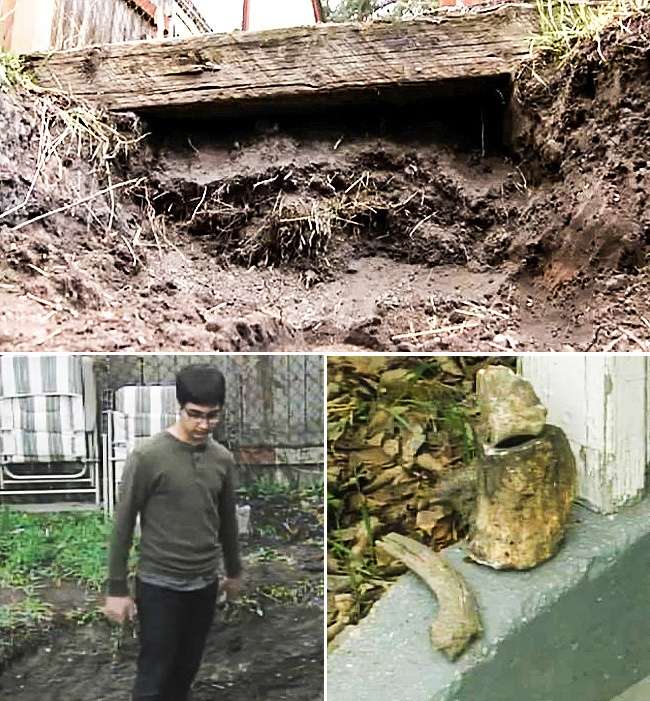 Temuan aneh di belakang rumah Temuan aneh di belakang rumah