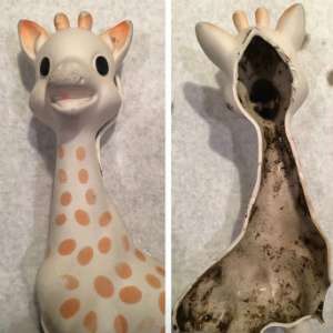 Mainan Sophie the Giraffe Berjamur (Facebook)