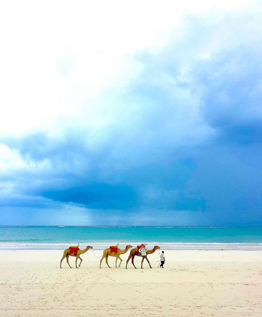 Karya Pemenang Kontes Foto NatGeo