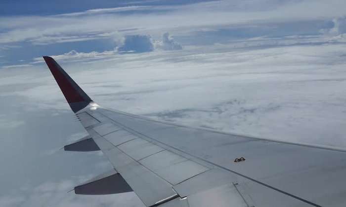 Alasan Ujung Pesawat Terbang Melengkung ke Atas