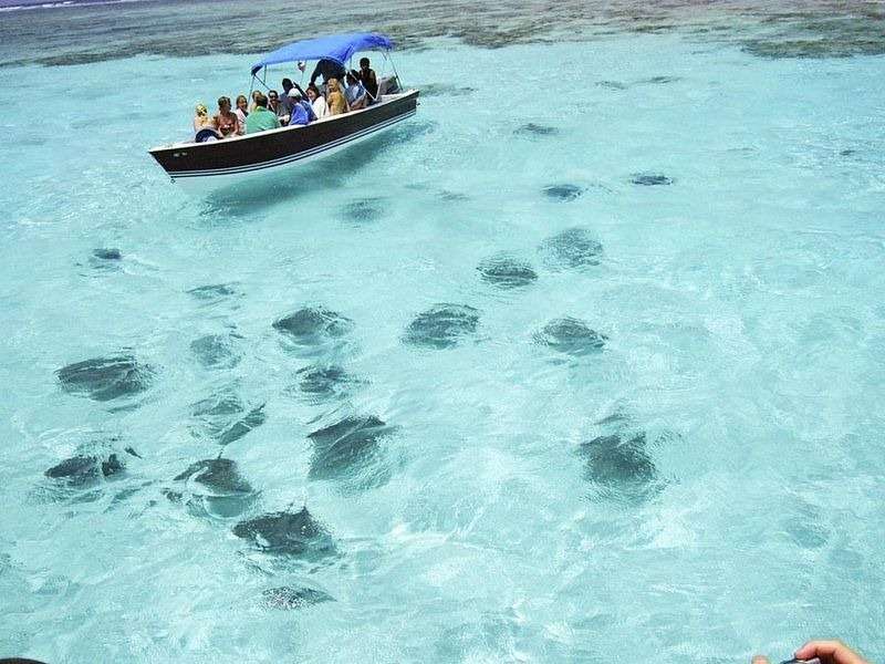 www.driftwoodlodge-belize.com