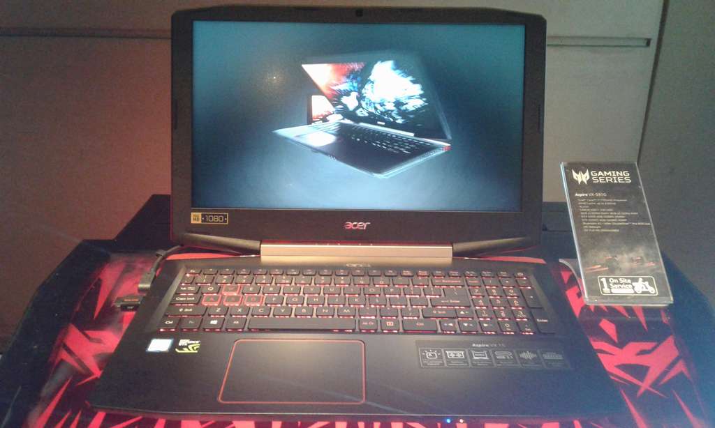 acer acer