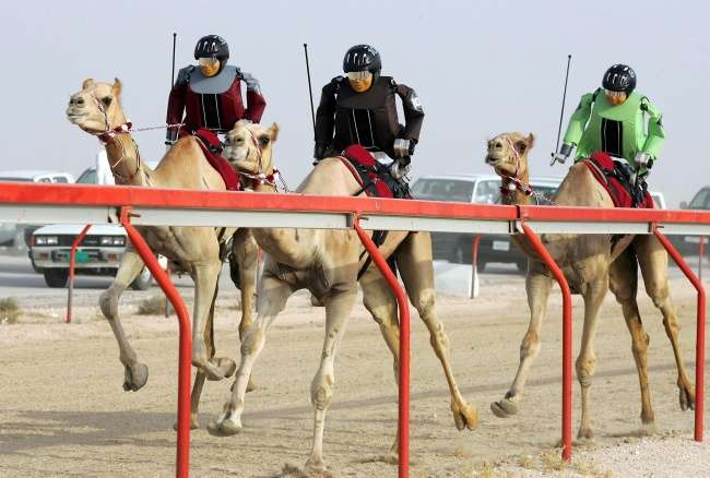 Hal Unik di Dubai