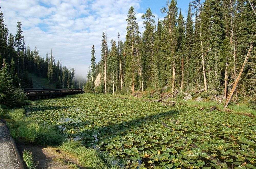 Isa Lake Isa Lake
