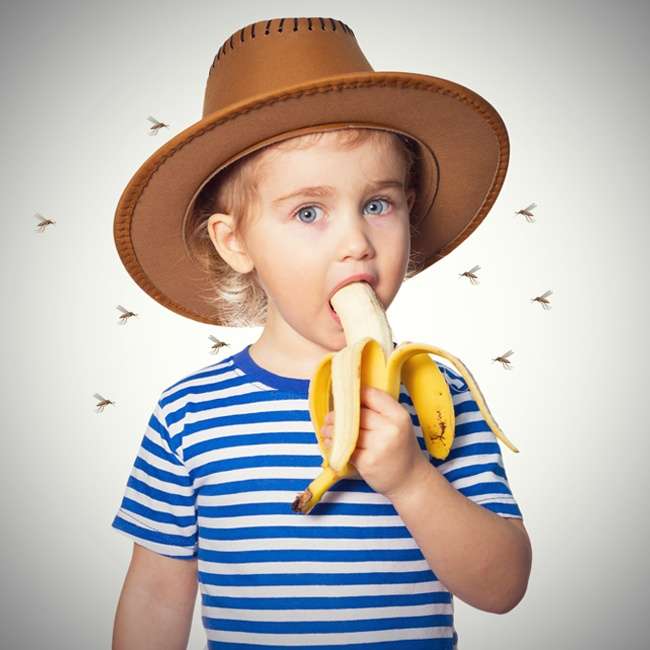 Fakta Makanan Fakta Makanan