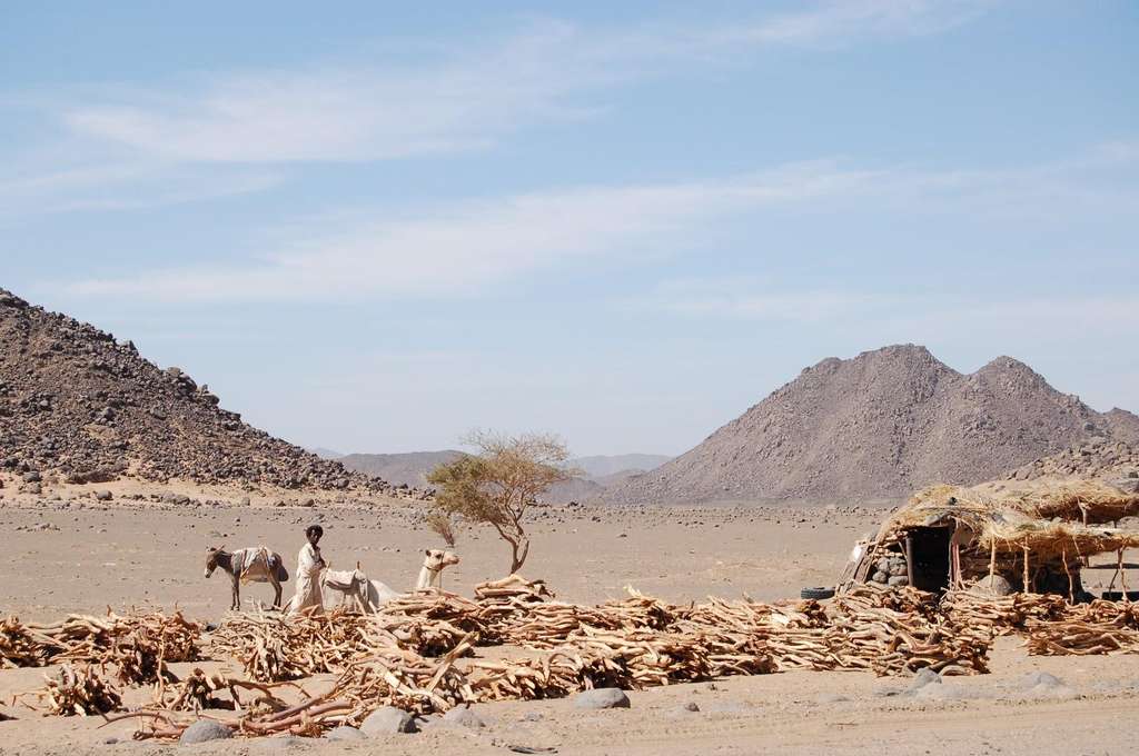 Gurun Sahara