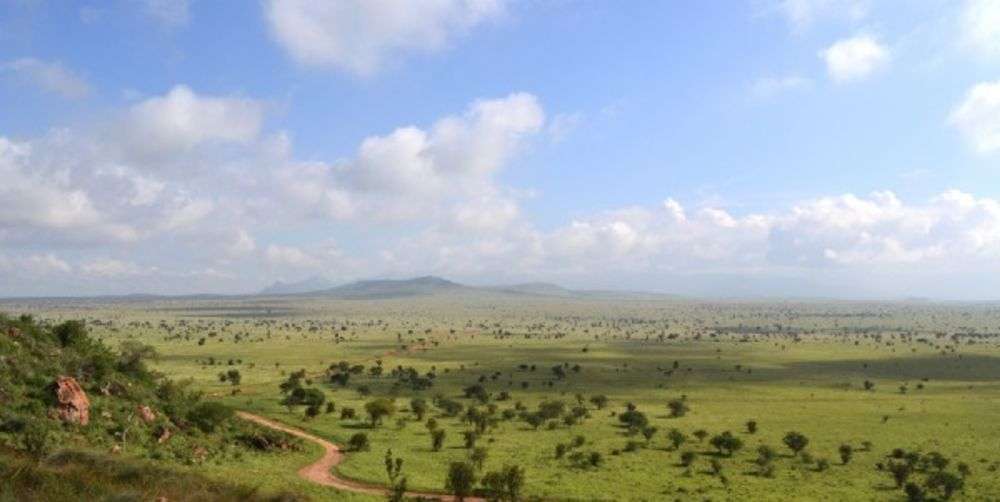 Gurun Sahara