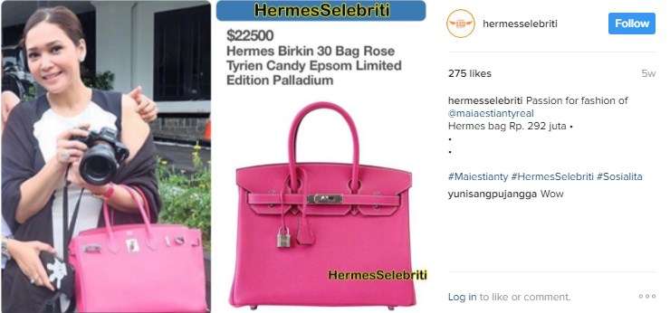 Hermes Selebritis