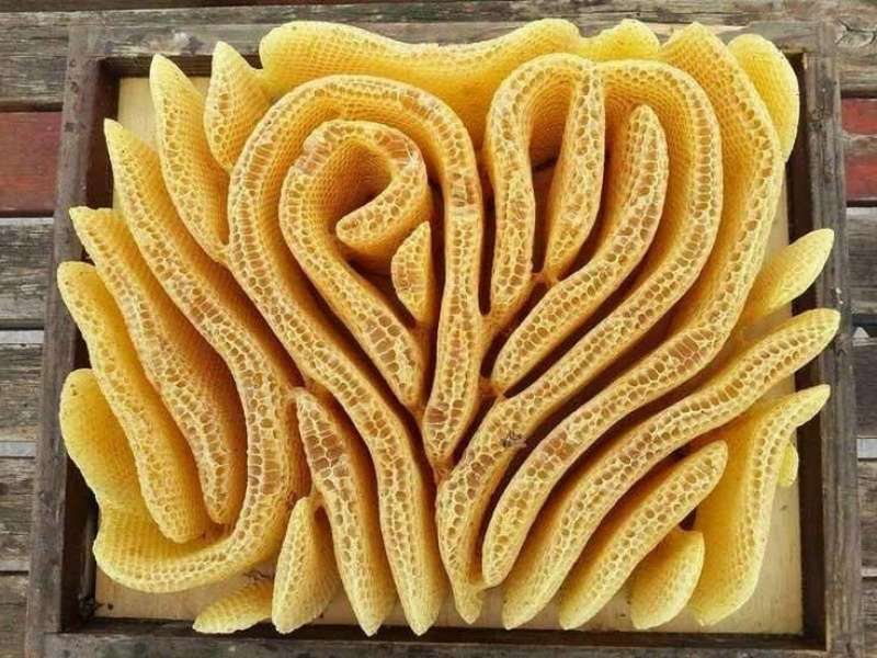 Foto Menakjubkan