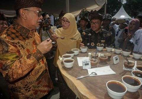 kopi