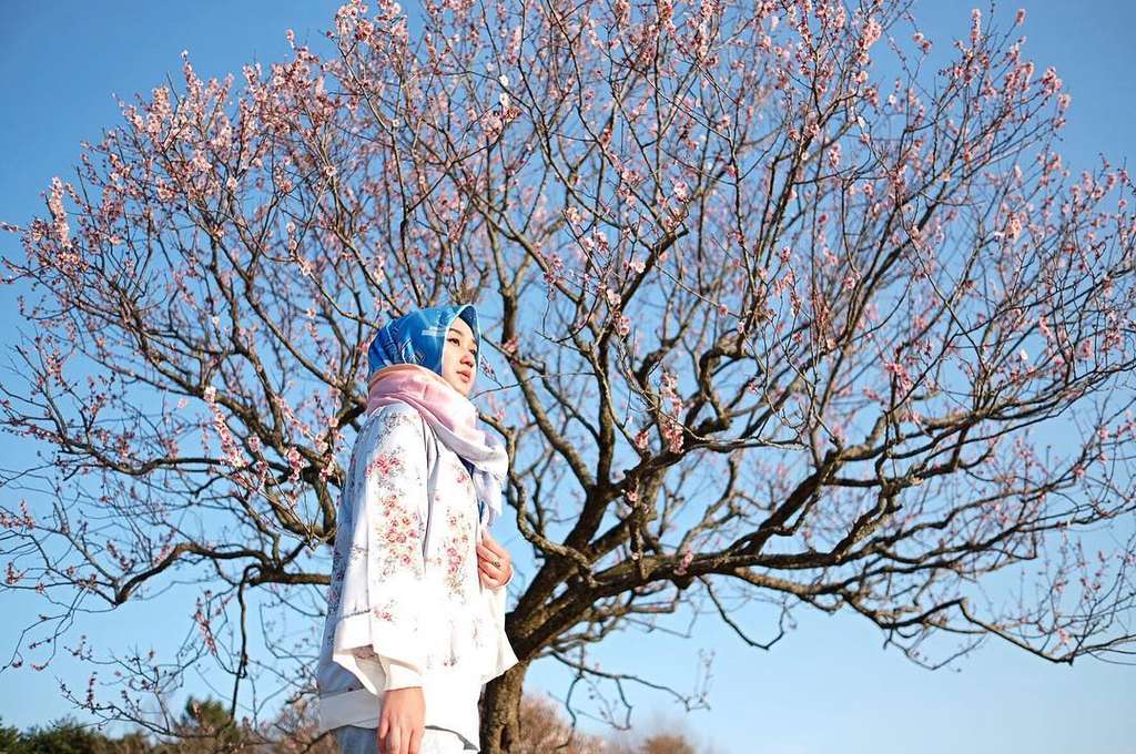 dian pelangi