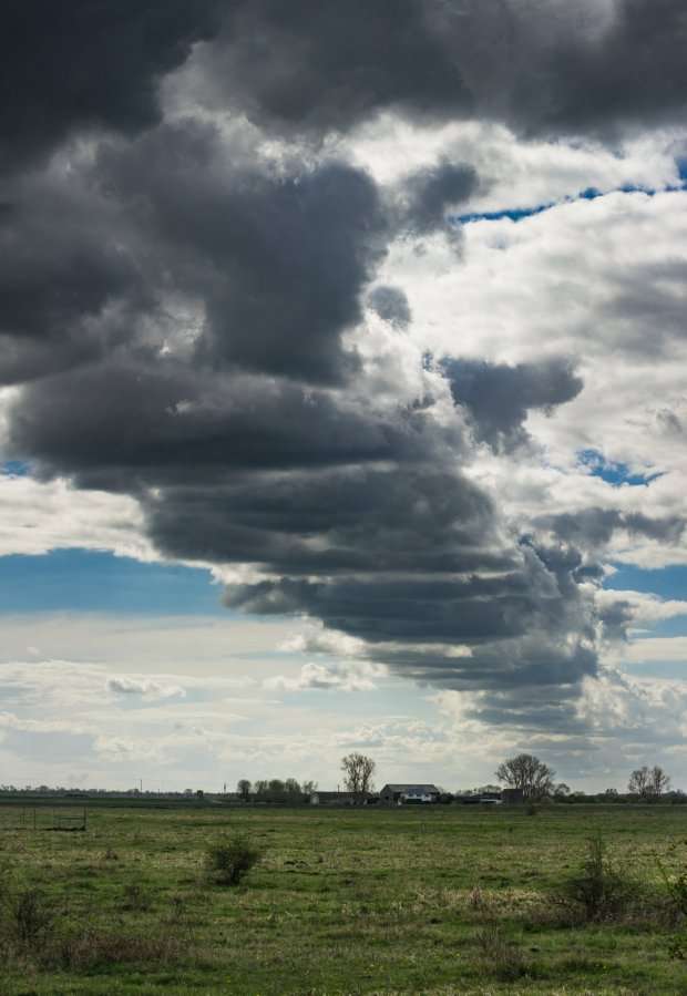 awan