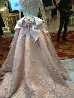 Reveal Your Dream Dominique Nadine Reveal Your Dream Dominique Nadine