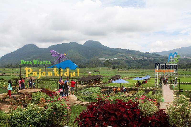 desa wisata