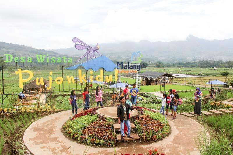 desa wisata
