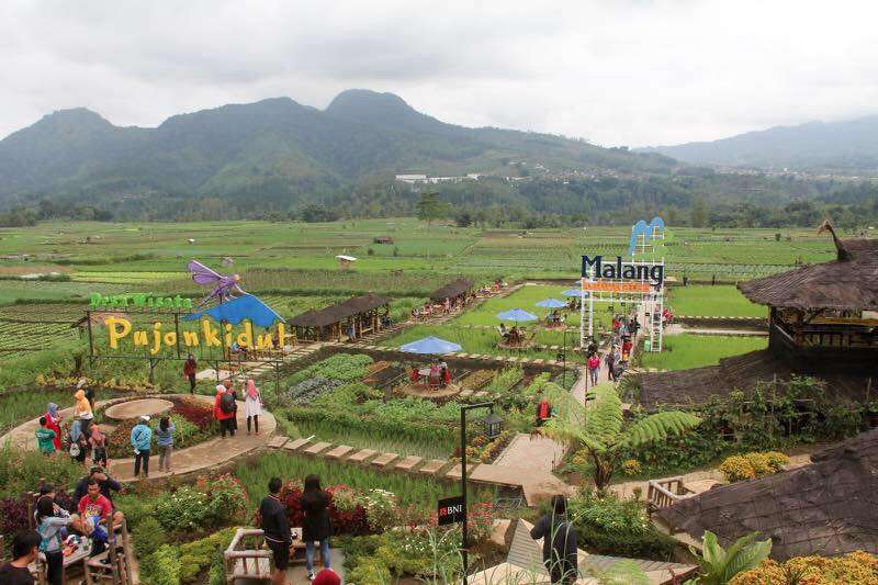 desa wisata