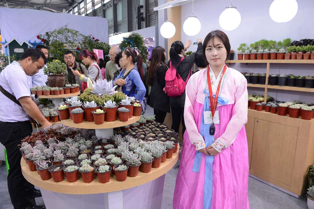 pameran bunga