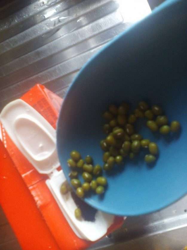 Cara Buat Tauge Dengan Mudah Cara Buat Tauge Dengan Mudah