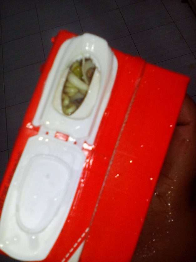 Cara Buat Tauge Dengan Mudah Cara Buat Tauge Dengan Mudah