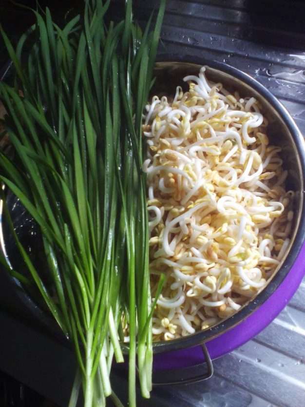 Cara Buat Tauge Dengan Mudah Cara Buat Tauge Dengan Mudah