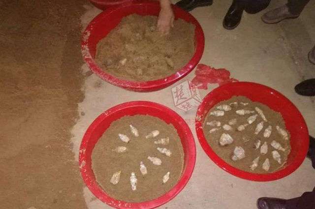Harta karun 1