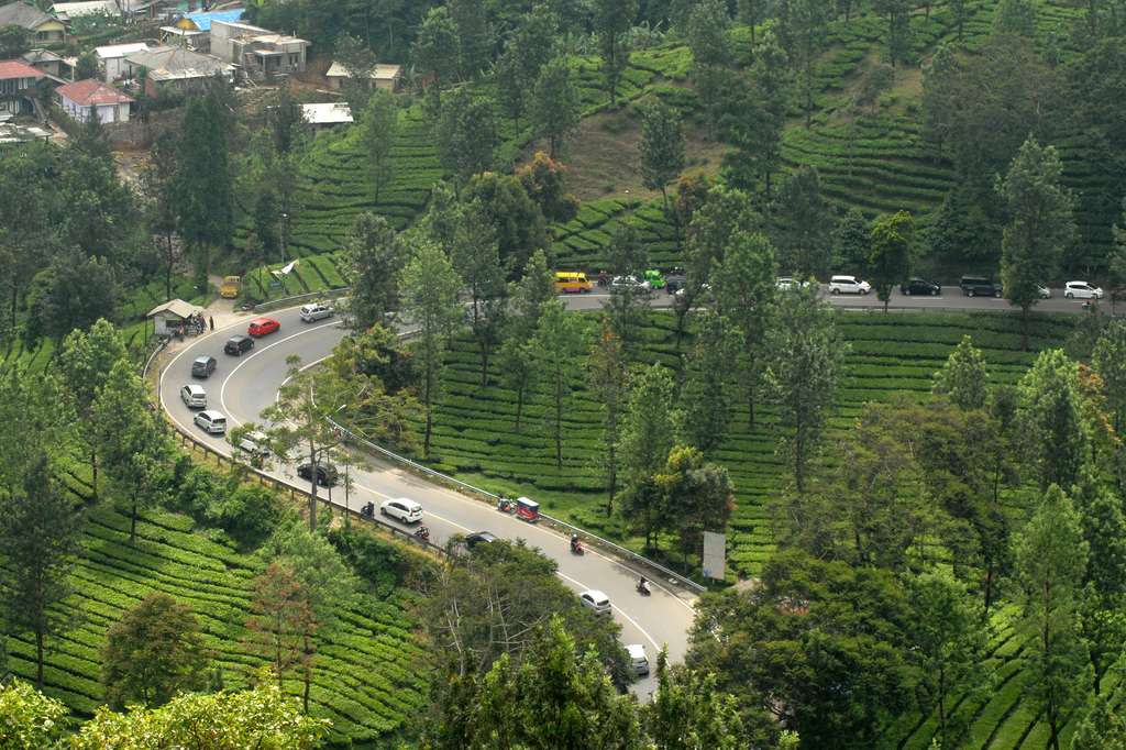 Puncak/Aktual.com