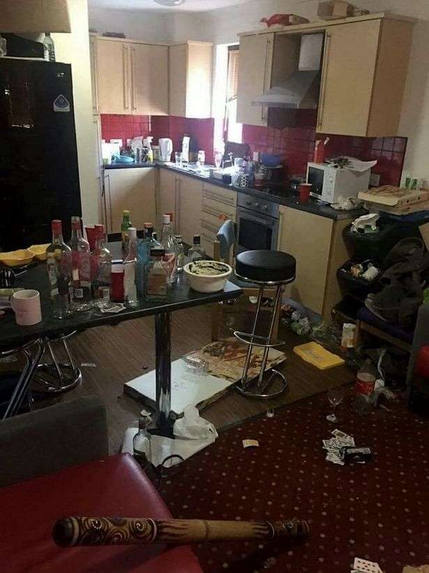 Kost an kotor Kost an kotor