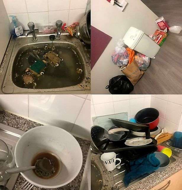 Kost an kotor Kost an kotor