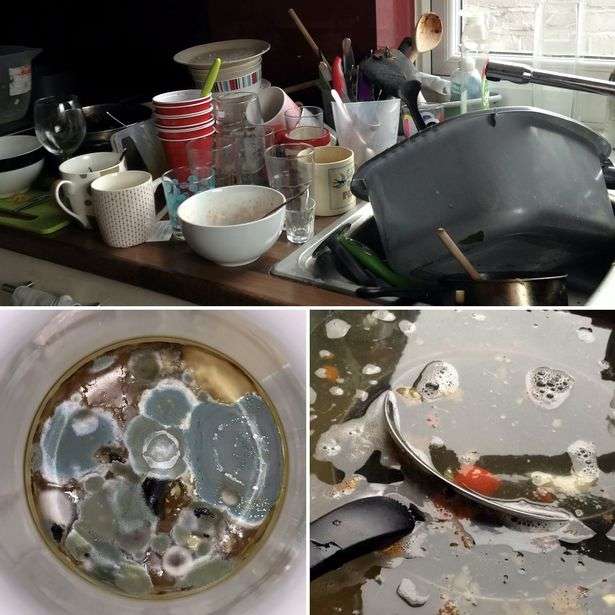 Kost an kotor Kost an kotor