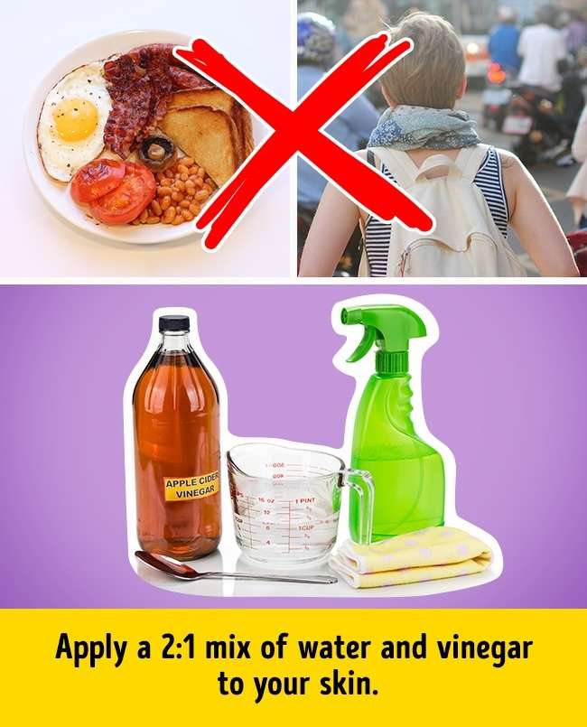 Penyebab Jerawat Penyebab Jerawat