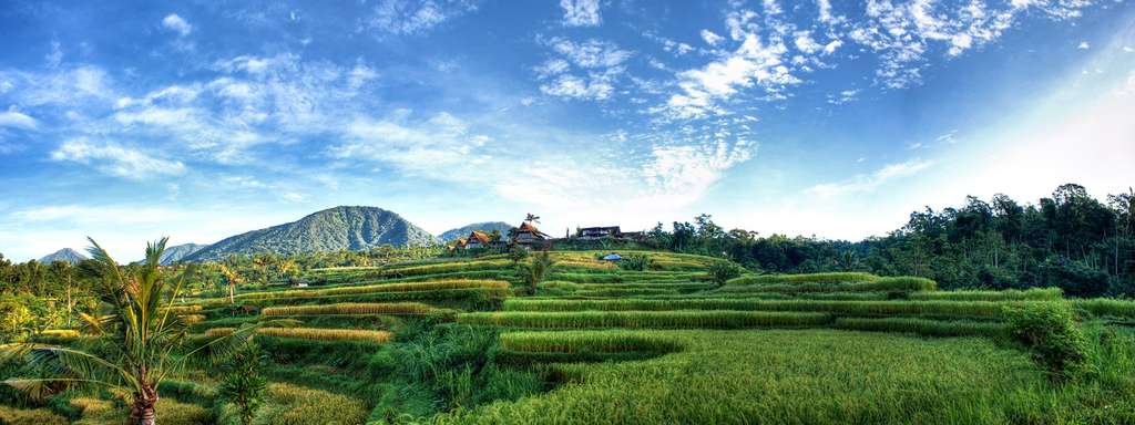 buleleng