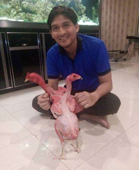 lucky hakim lucky hakim