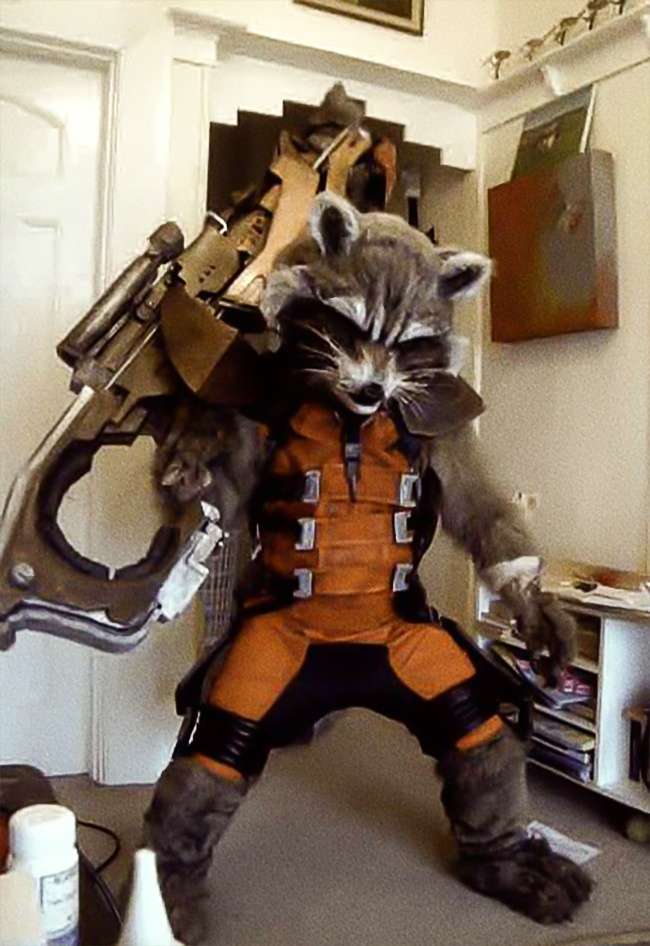 Cosplayer Cerdik