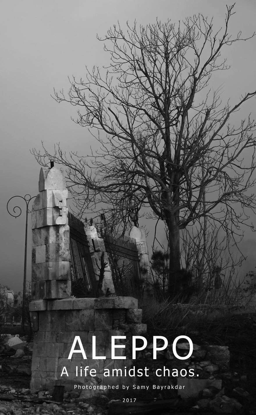 aleppo