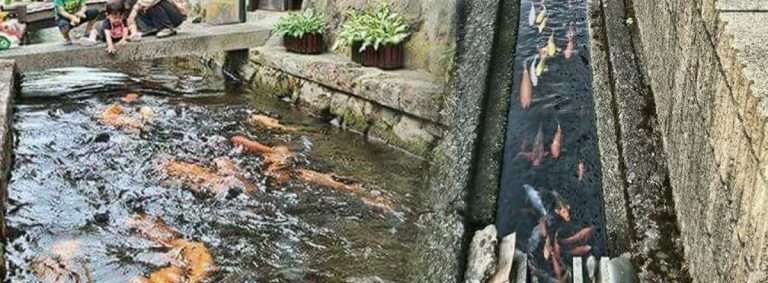 Banjir Pattaya