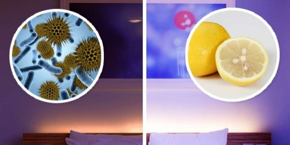 Manfaat lemon