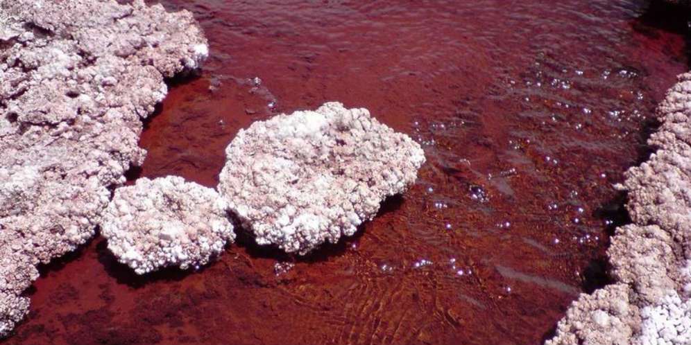 Danau Merah Red Lagoon