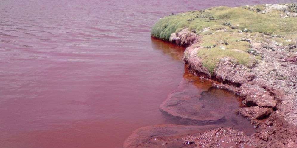 Danau Merah atau Red Lagoon