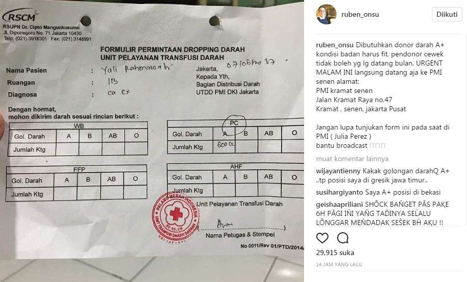 donor darah untuk jupe