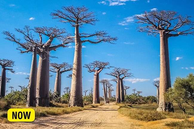 Tempat Wisata yang Akan Hilang