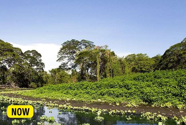 Tempat Wisata yang Akan Hilang