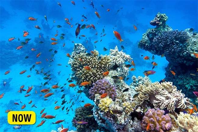 Tempat Wisata yang Akan Hilang