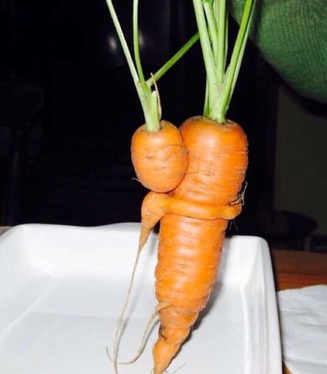 Pareidolia
