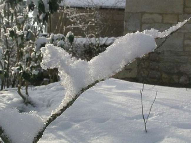 Pareidolia