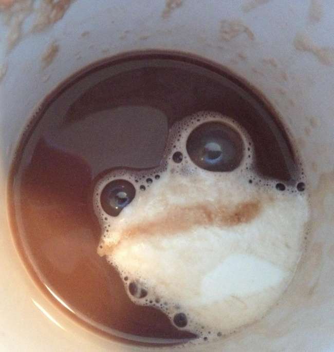 Pareidolia