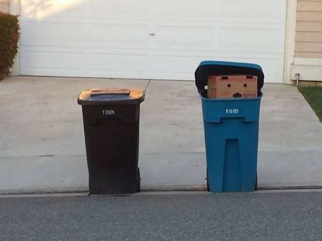 Pareidolia