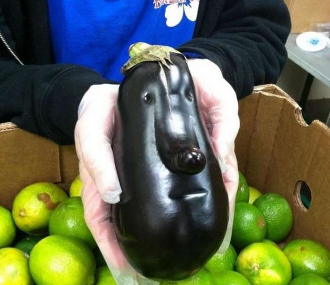 Pareidolia