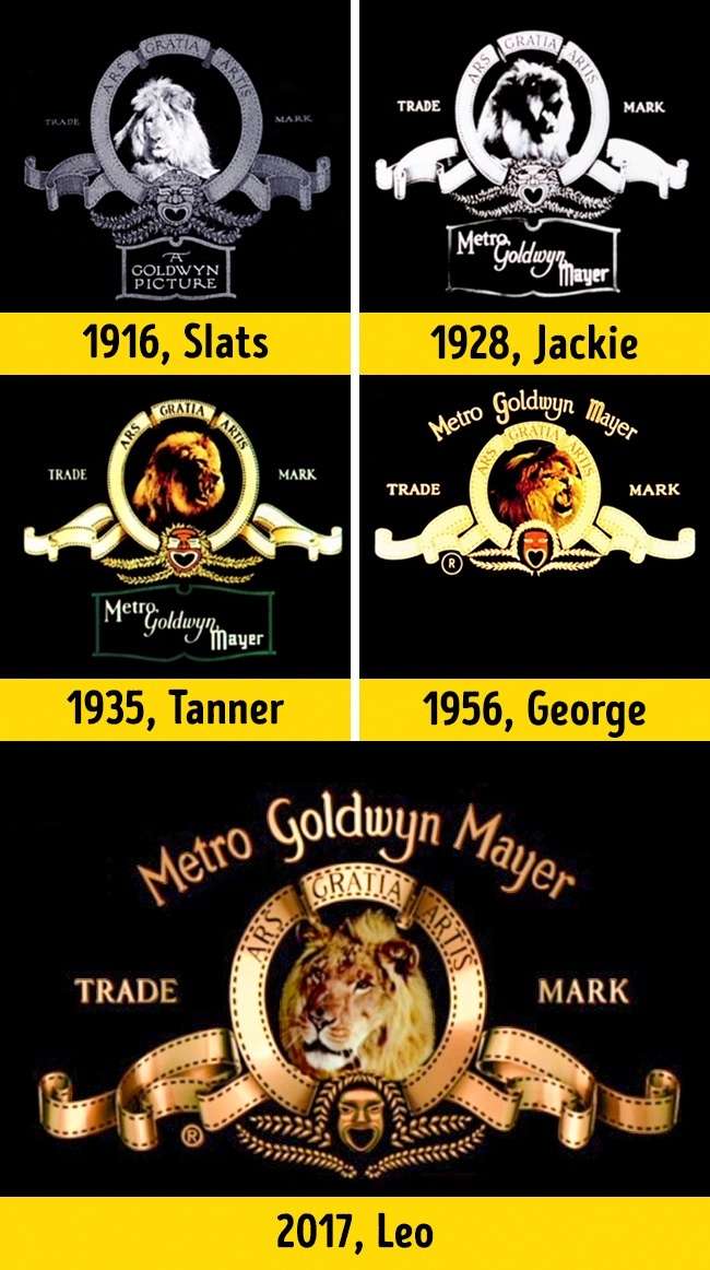Logo Studio Film